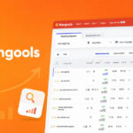 How Mangools makes SEO easier for small business owners